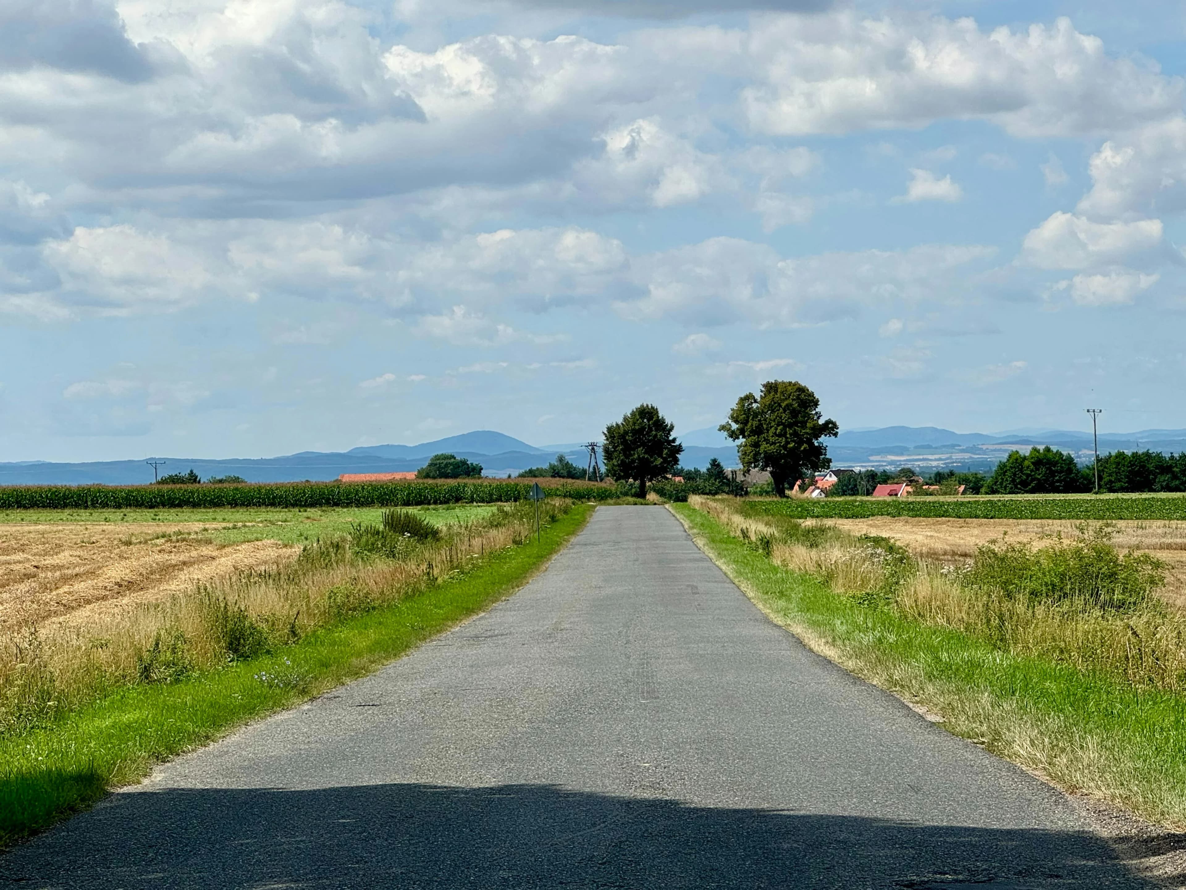 A rural road in the middle of a field