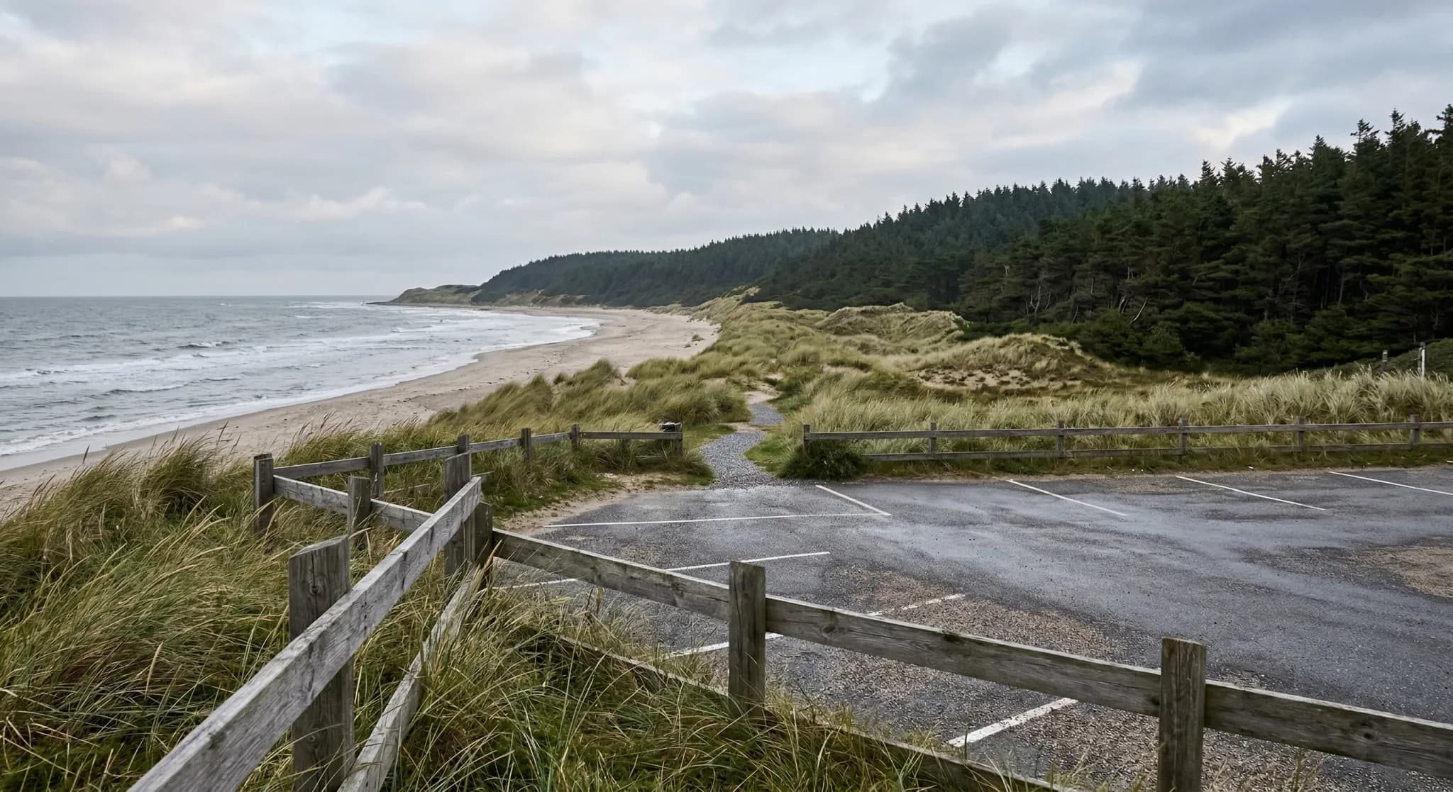 A wide-angle photorealistic landscape shot of a Northern European coastline where a sandy beach meets a dense, ancient pine forest. In the foreground, an empty asphalt parking area is bordered by weat