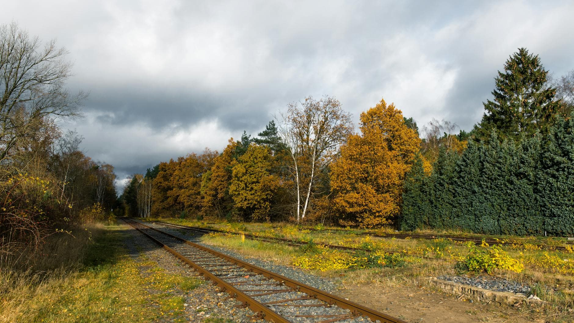 Scenic autumn railway passing through colorful foliage in Geesthacht, showcasing the beauty of fall in Germany.