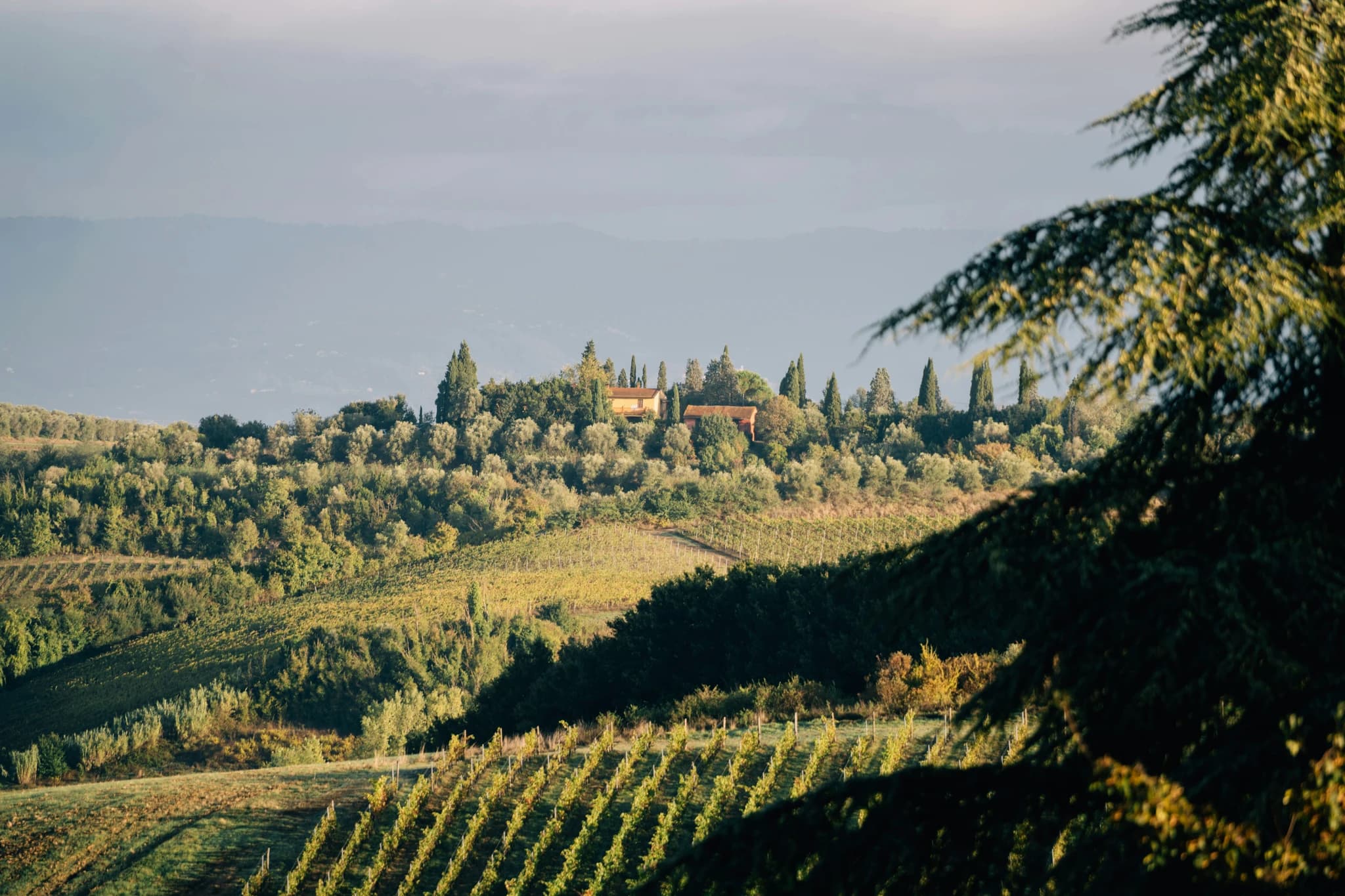 Rolling tuscan hills with vineyards and villa