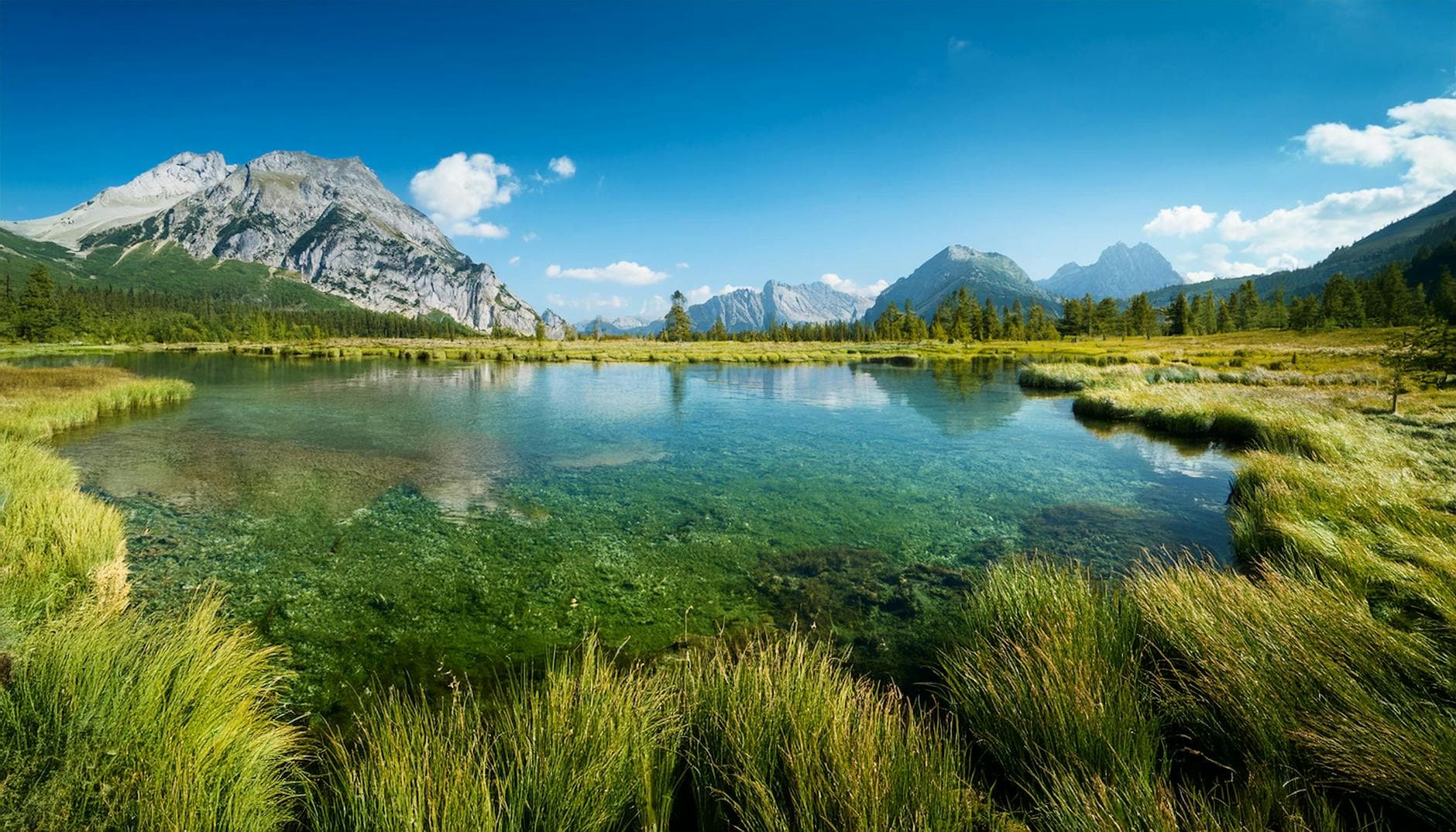 Nye Miljøkrav: Skærpet Fokus på Vandbeskyttelse og Fremskyndet Grøn Omstilling