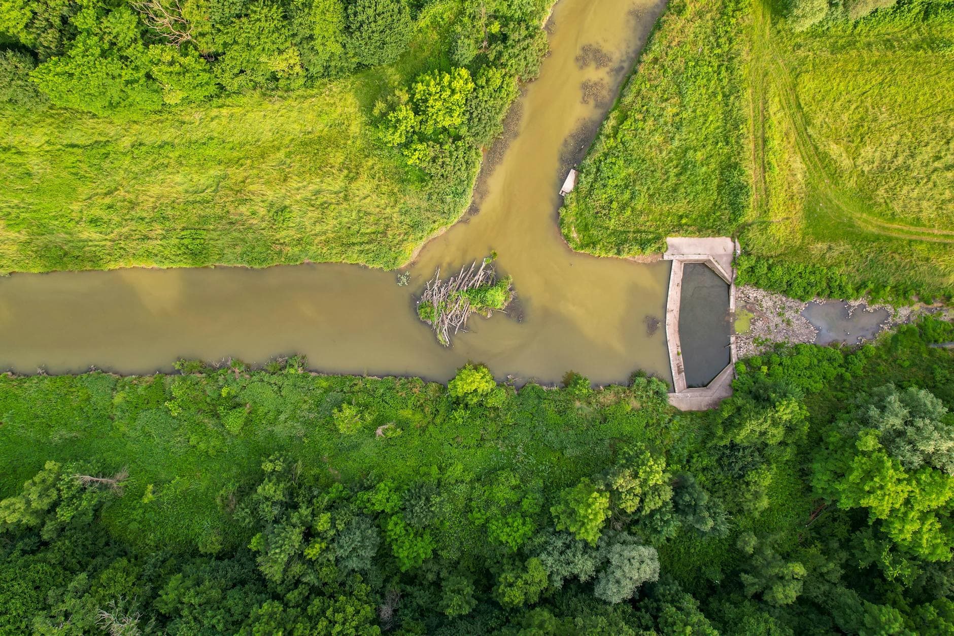 Klimatilpasning og cirkulær økonomi præger de nyeste regler i miljøretten
