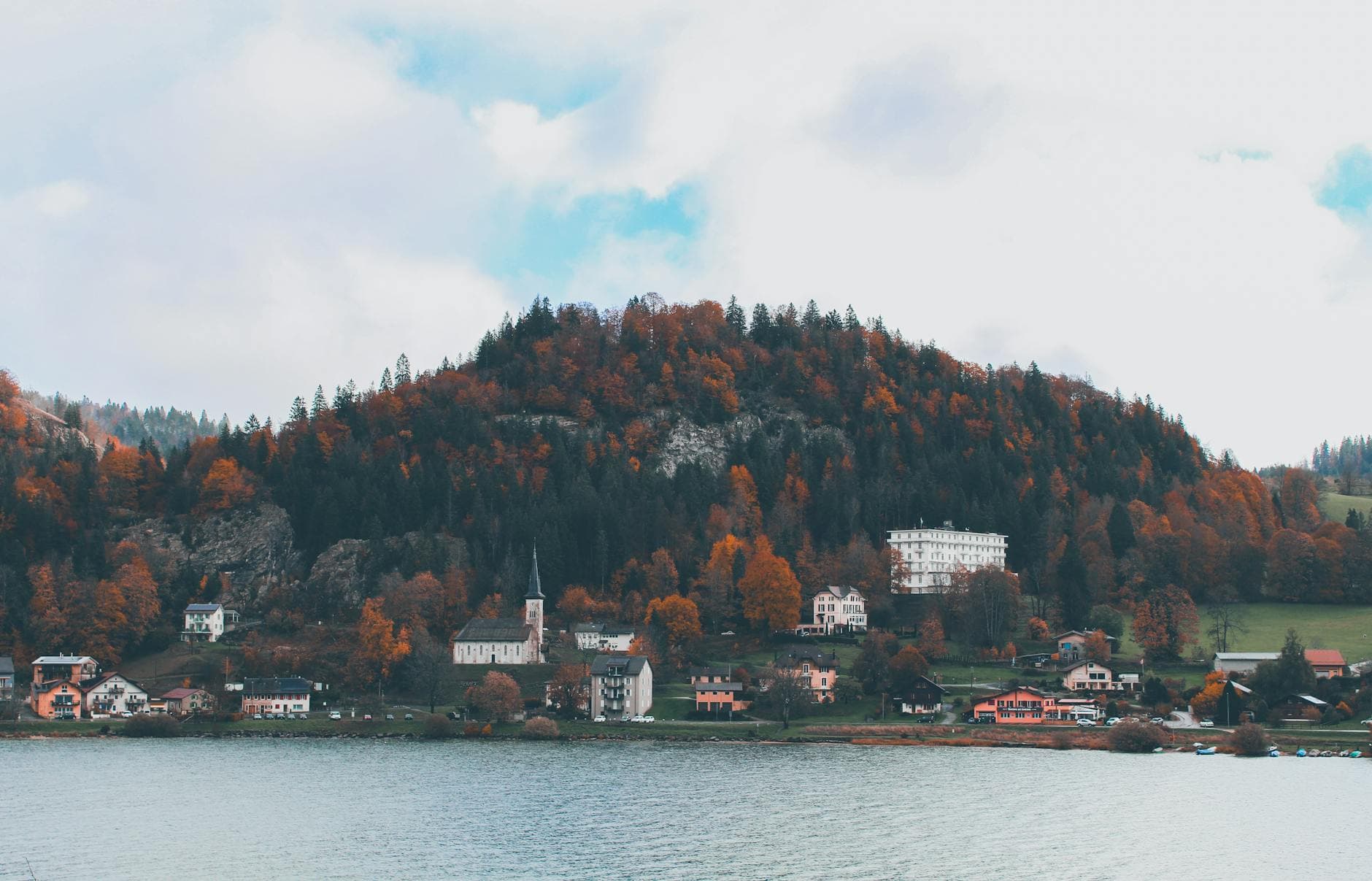 Nye Tilskudsordninger i Miljøretten: Fokus på Skovrejsning og Biavlssektoren