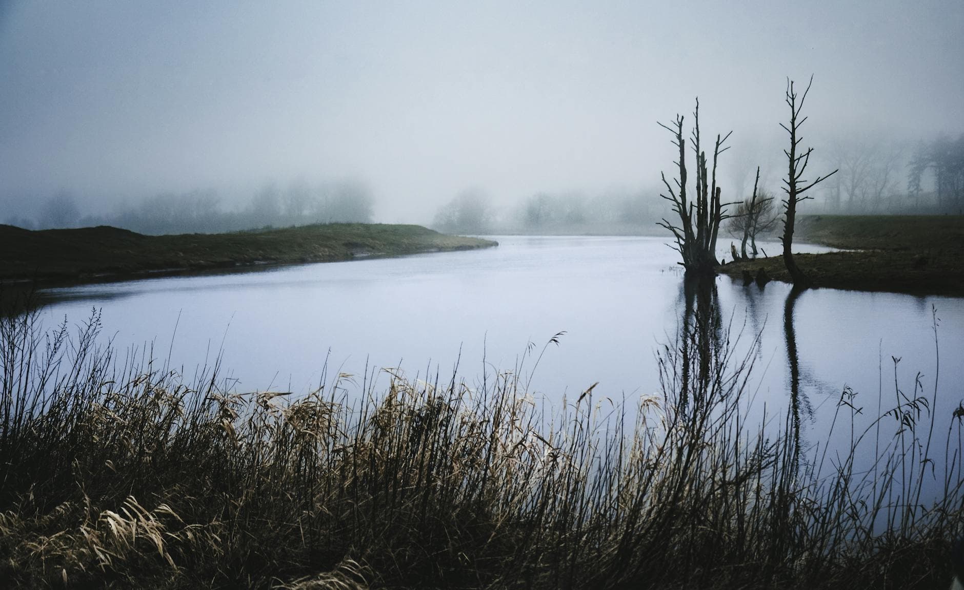 Foggy morning view of a tranquil lake with reflections and withered reeds in Skåne, Sweden.