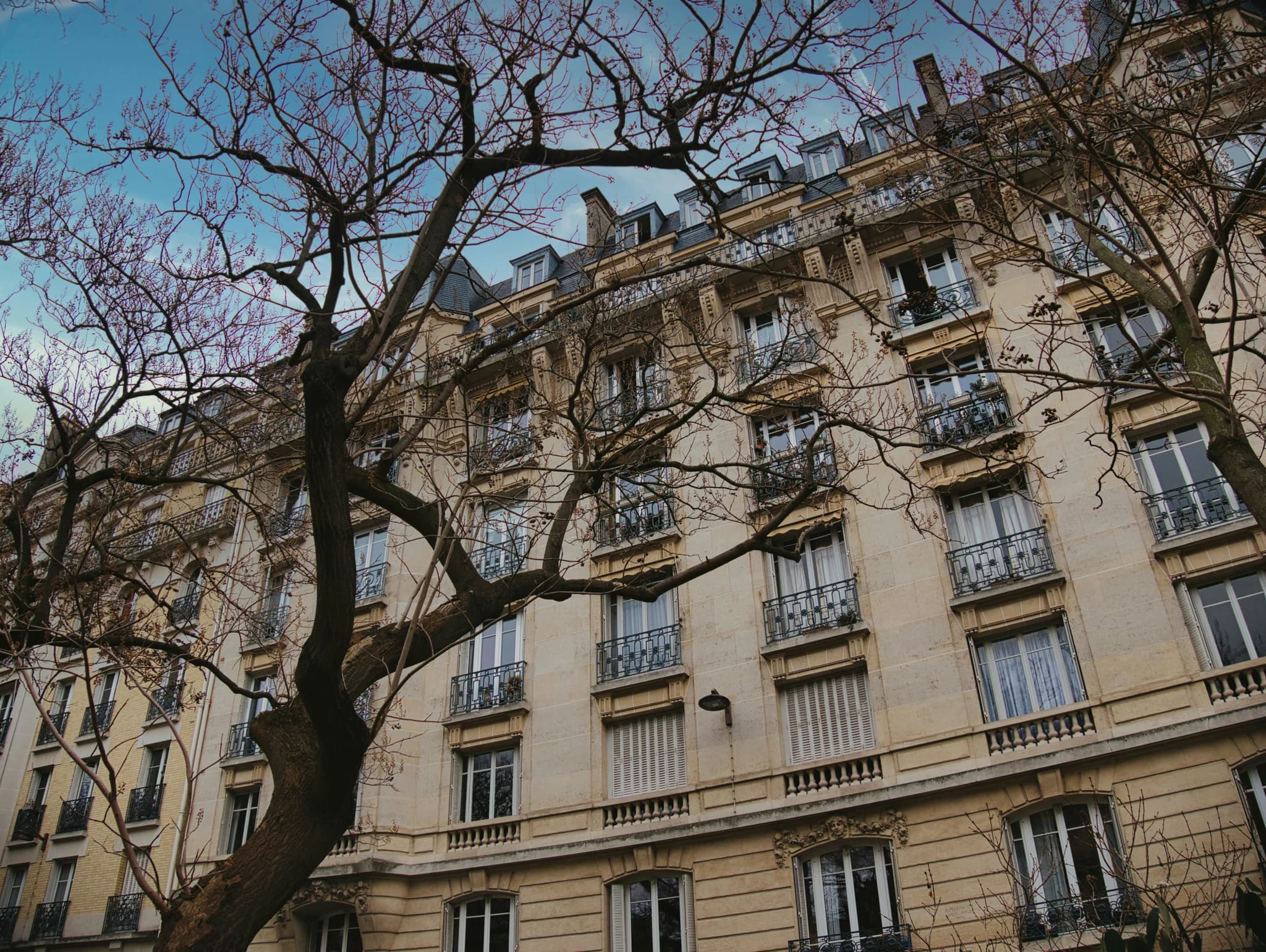 A large building with many windows and a tree in front of it
