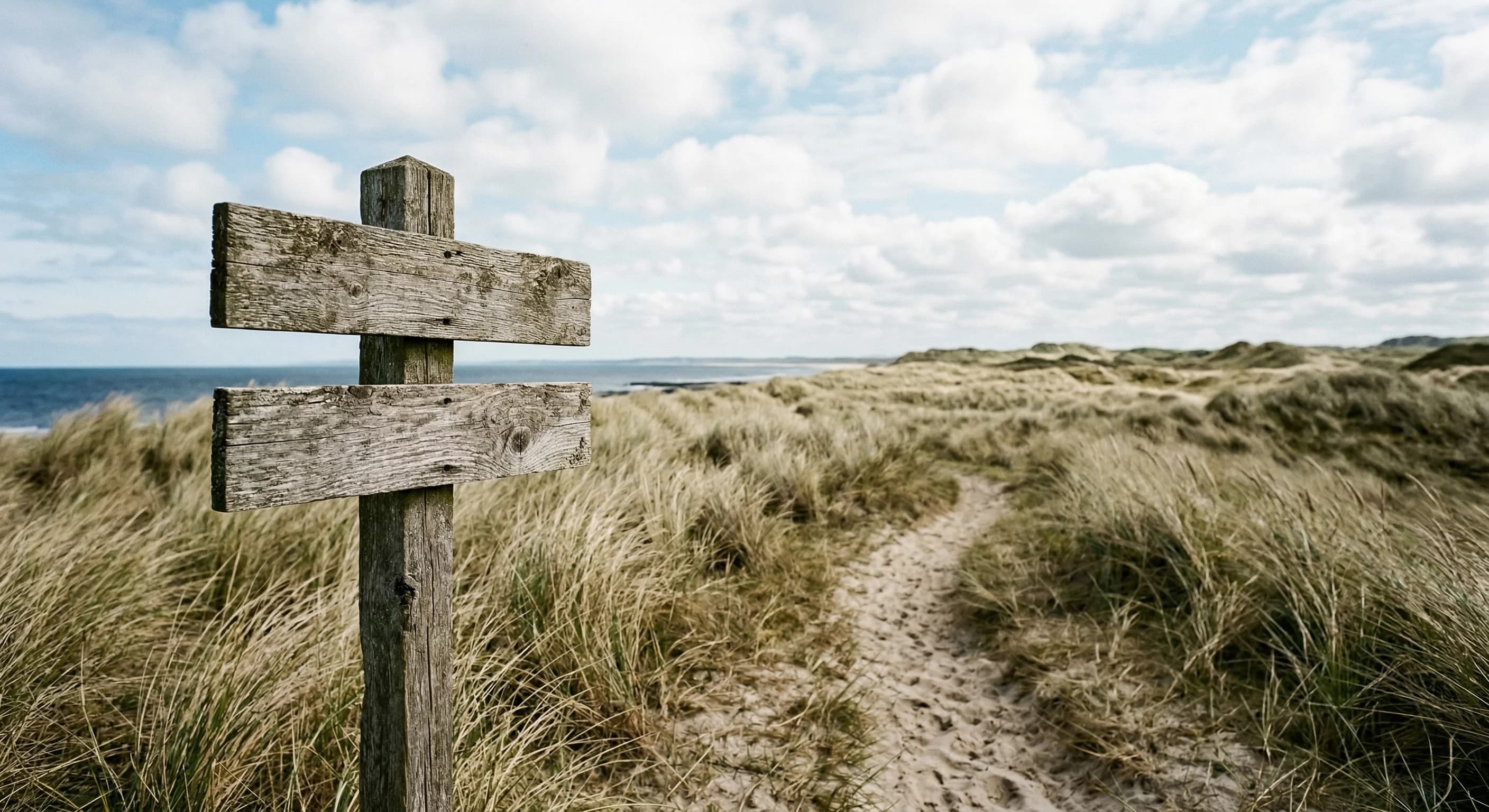 Nævn bremser museumsprojekt grundet markfirben og fjerner forbudsskilt